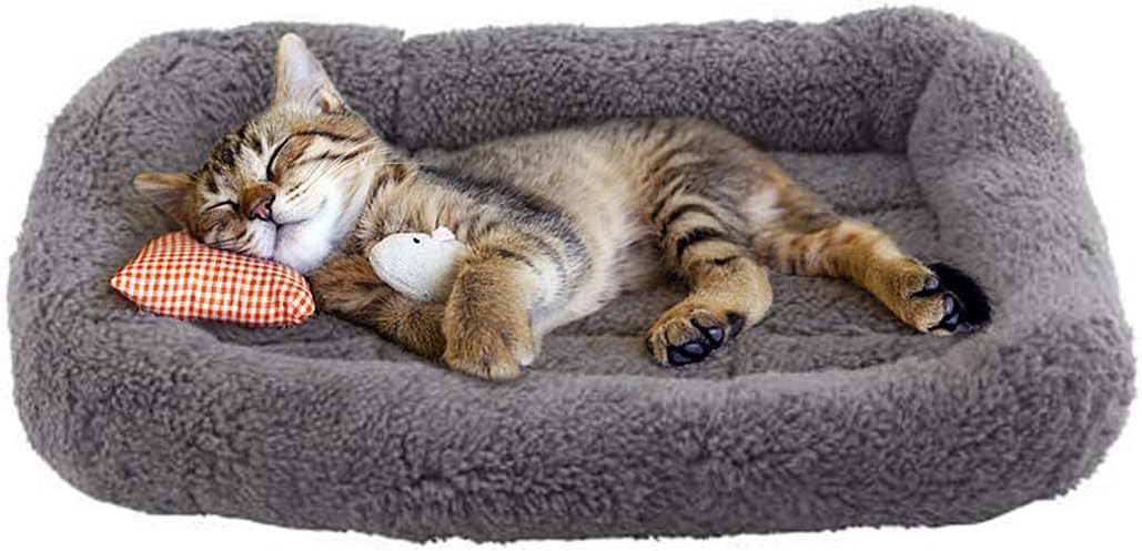 Enjoying Cat Mat Bed 10" x 15" Pet Bed with Pillow Around for Puppy Kitten Curled Sleeping Beds for Carrier/Crate Small Dog Cushion, Anti Skid Bottom, Small