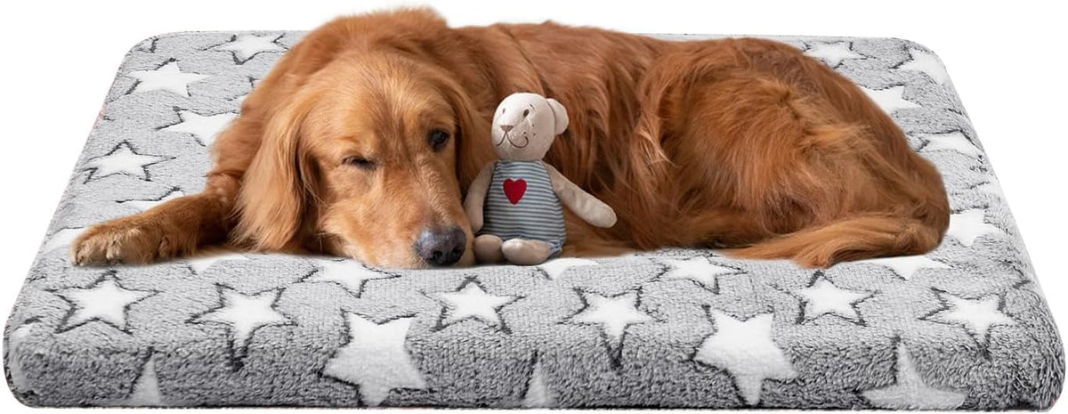 Dog Crate Mats, Dog Bed Mat, Cat Mat - Short Plush Pet Mat Crate Pad for Small Dogs, 1.6-inch Thick Thin Dog Mat, Machine Washable (Grey Star, 36.0" L x 24.0" W x 1.6" Th)