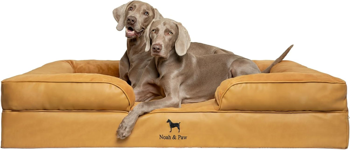 NOAH & PAW XXL Dog Bed, Orthopedic Memory Cooling Foam (2X Base) 55x45x11in