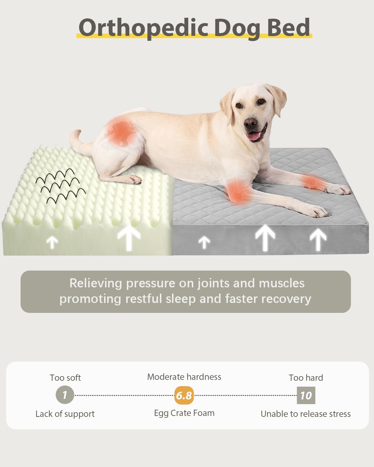 NUPIDA Orthopedic Dog Beds for Extra Large with Washable Cover, 44x32, Grey