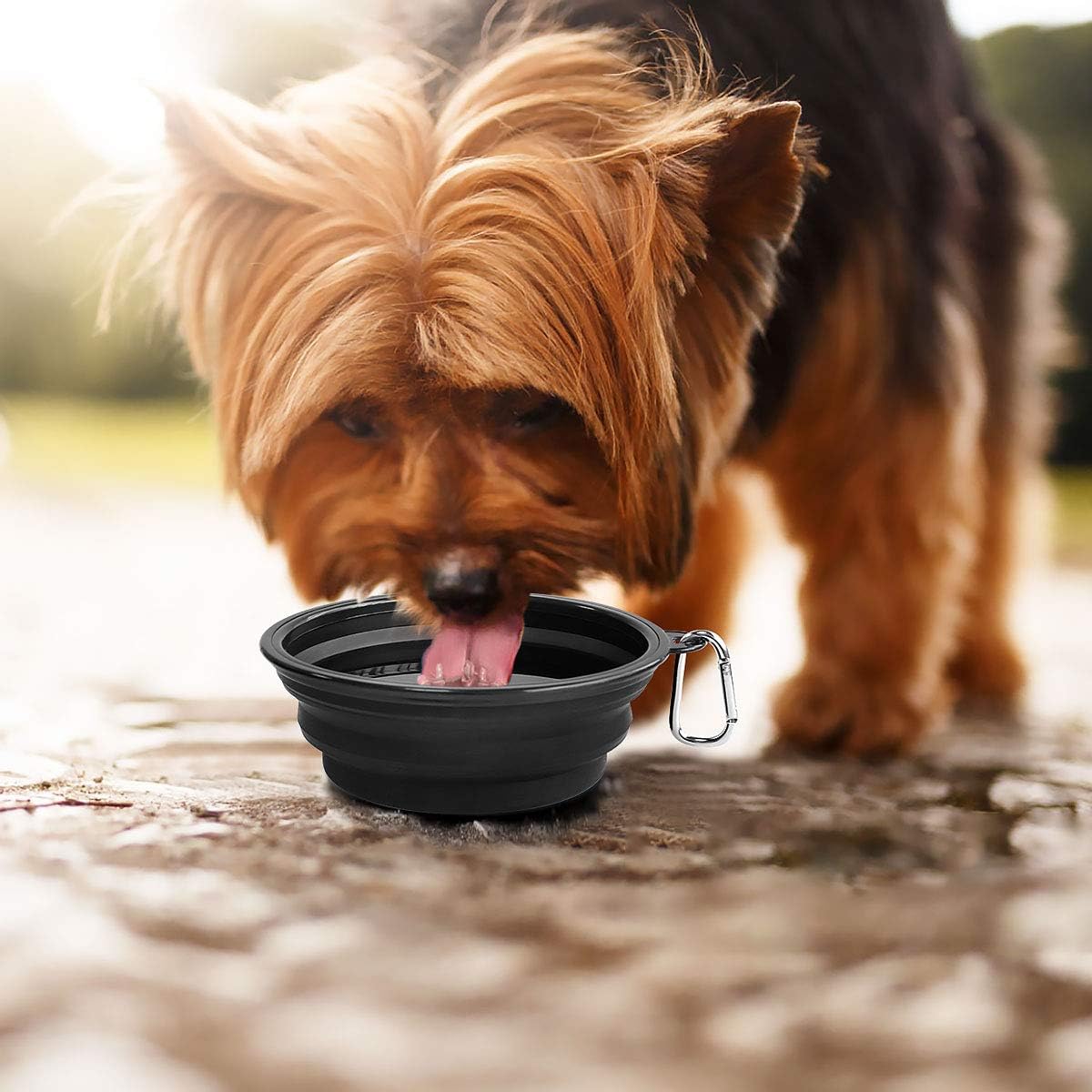 Kytely Large Collapsible Dog Bowls 2 Pack, 34oz Foldable Dog Travel Bowl | Portable Dog Water Food Bowl with Clasp, Pet Cat Feeding Cup Dish for Traveling, Walking, Parking 