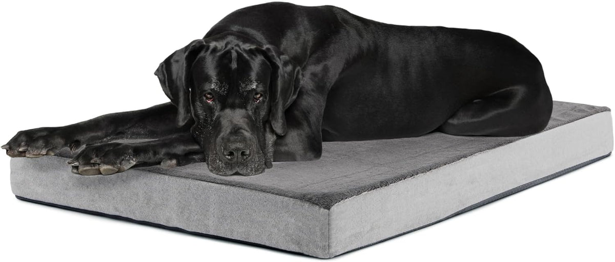 BarkBox Orthopedic Dog Bed - XXL