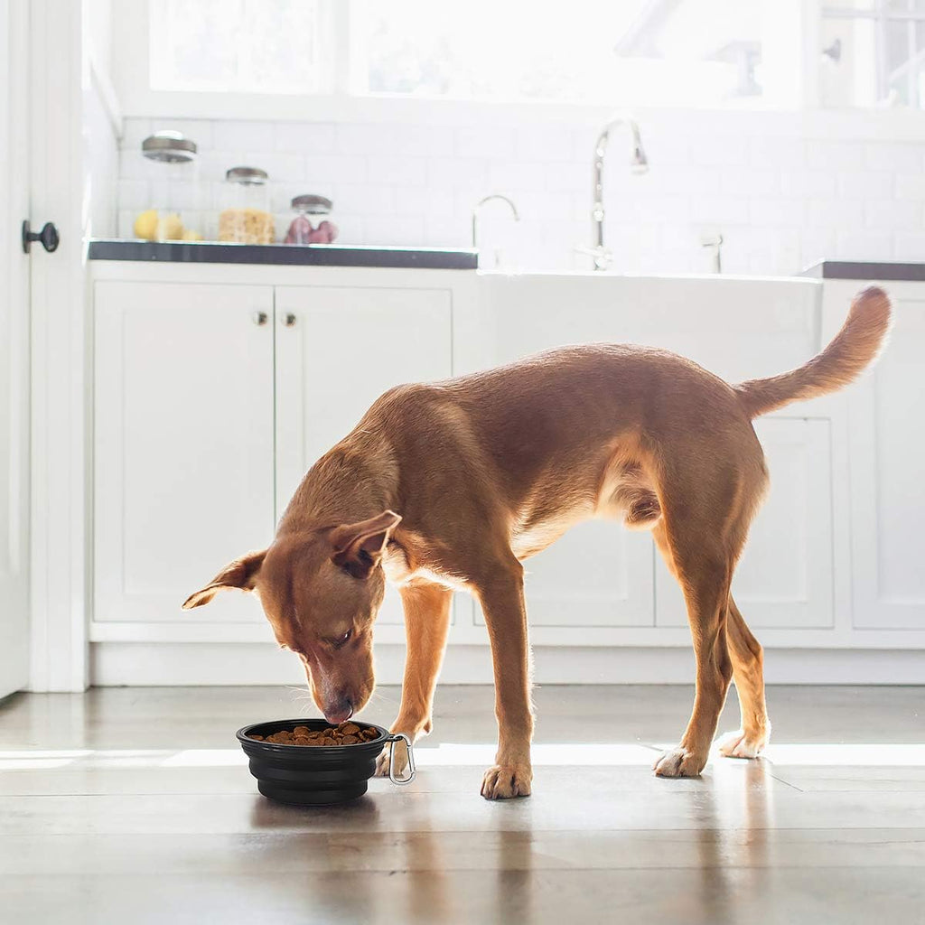 Kytely Large Collapsible Dog Bowls 2 Pack, 34oz Foldable Dog Travel Bowl | Portable Dog Water Food Bowl with Clasp, Pet Cat Feeding Cup Dish for Traveling, Walking, Parking 