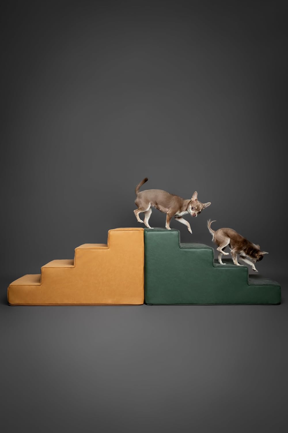 Noah & Paw Dog Steps for Bed, Up to 150lb, Extra Wide Dog Stairs for Bed