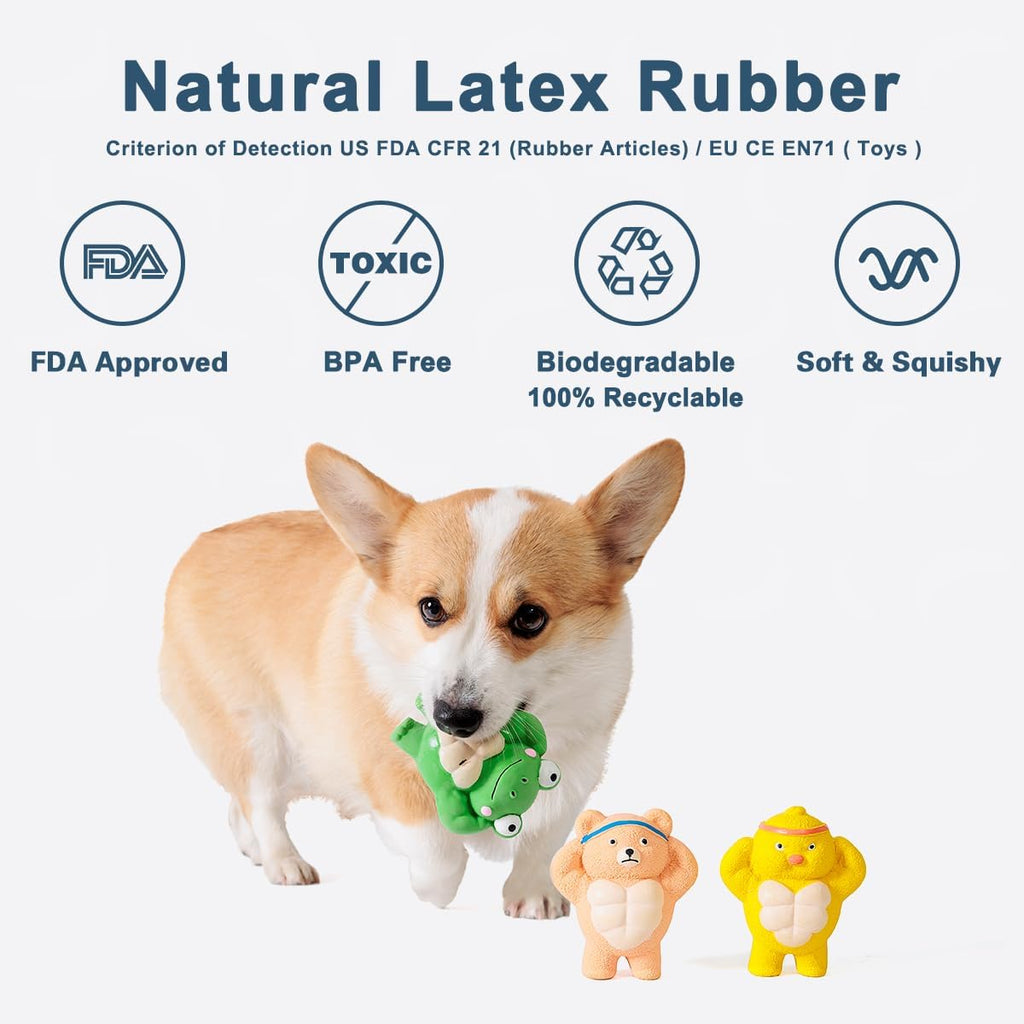 3 Pack Squeaky Dog Toys for Medium Dogs, Soft Latex Chicken Squeaky Dog Ball, Cute Funny Squeak Different Animals Frog Bear Chicken Pet Toys