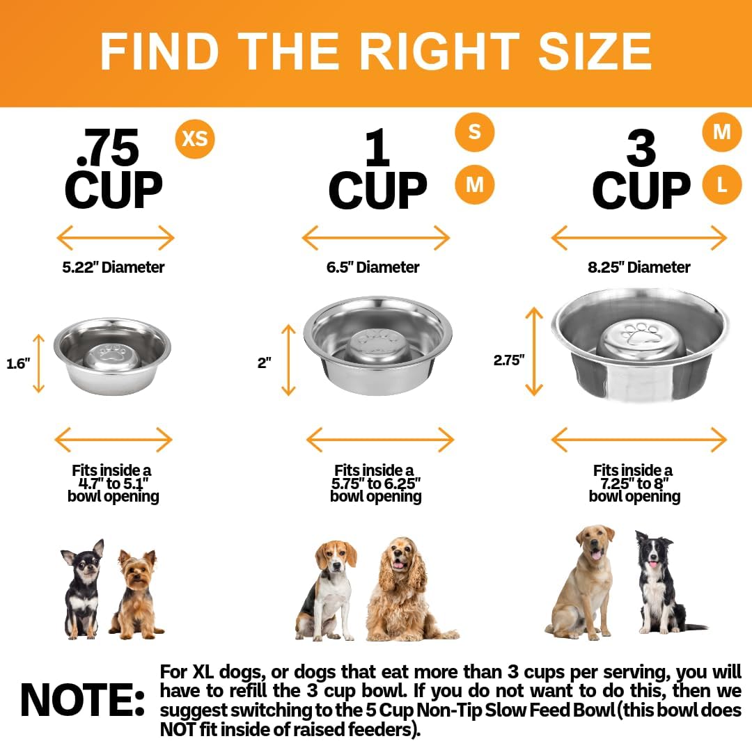 Neater Pet Brands Stainless Steel Slow Feed Dog Bowl for Fast Eating Medium Breed, Metal Slow Feeder Dog Bowl Fits in Medium Neater Feeder Deluxe, for Puppy or Dogs (19-40 lbs), 1 Cup Food Capacity 
