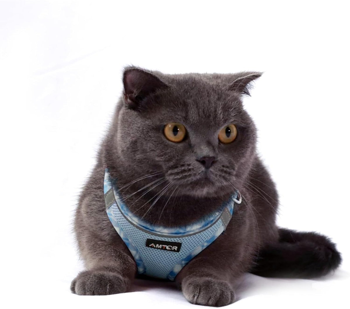 AMTOR Small Dog Harness with Leash Set, No Escape Easy Walk Puppy Harnesses for Training Walking, Step-in Reflective Soft Dogs Vest for XS S Medium Extra-Small Large Sized Dog(Blue/White,XXS)