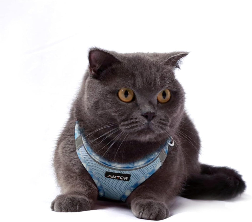 AMTOR Small Dog Harness with Leash Set, No Escape Easy Walk Puppy Harnesses for Training Walking, Step-in Reflective Soft Dogs Vest for XS S Medium Extra-Small Large Sized Dog(Blue/White,S)