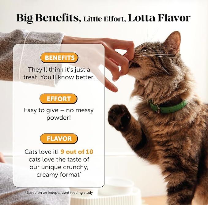 Pet Honesty Vet Backed Immune Lysine for Cats, Chicken, 90-Day Supply
