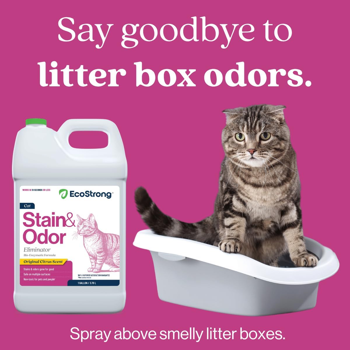 Eco Strong Cat Stain And Odor Remover| Enzyme Urine Odor Neutralizer - Stain Remover for Carpet, Litter Boxes, Bedding, and Laundry [Citrus Scent Gallon Value Size]