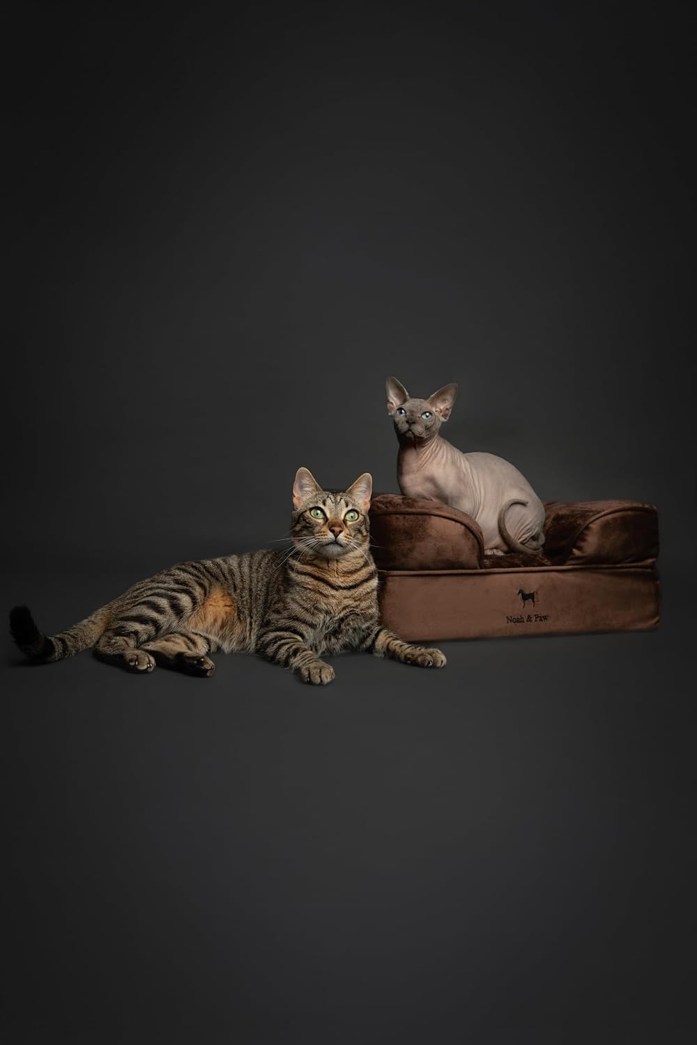 NOAH & PAW Cat Bed, XS Dog Bed, Orthopedic Memory Foam (2X Base) 20x15x8 in