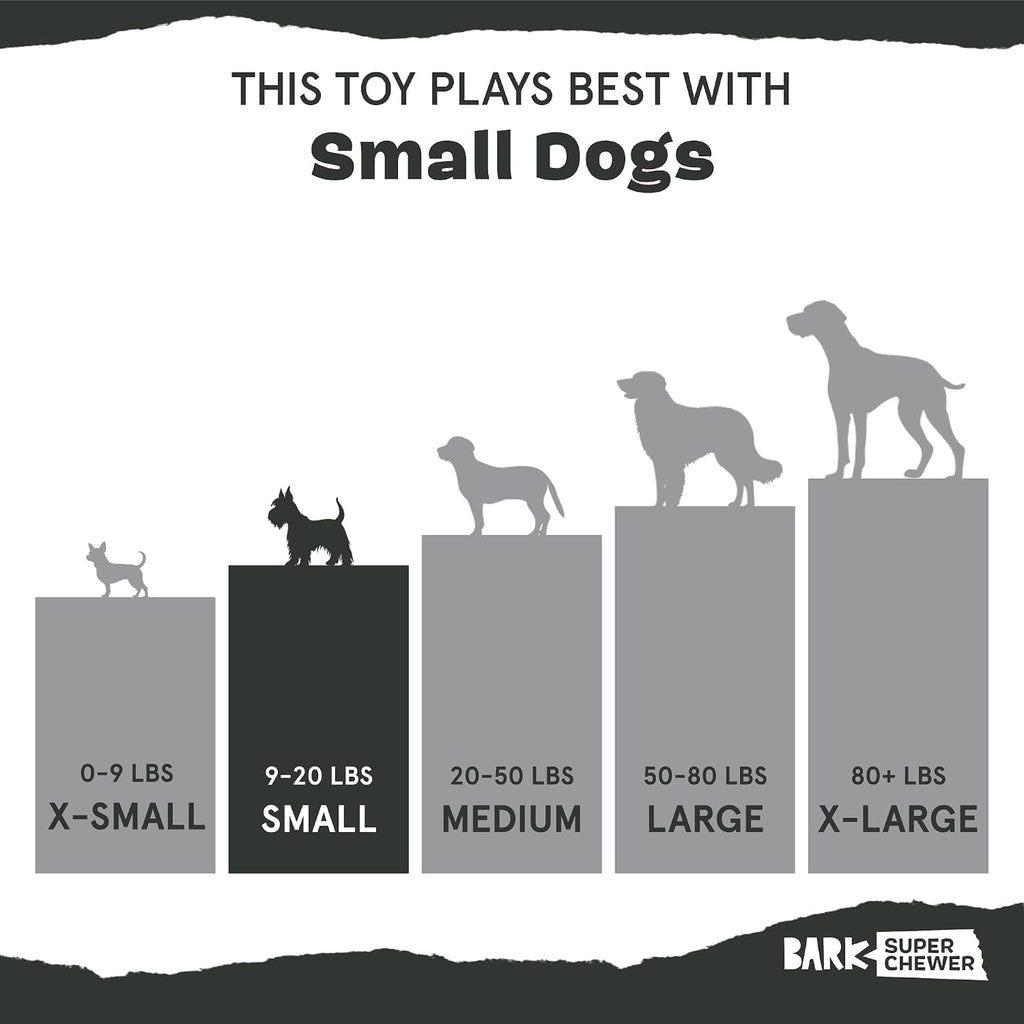 BarkBox Sven the Hedgie Rubber Dog Toy - Toy for Small Dogs | Squeaky Natural Rubber Chew Toy with Soft Spike Textures | Durable