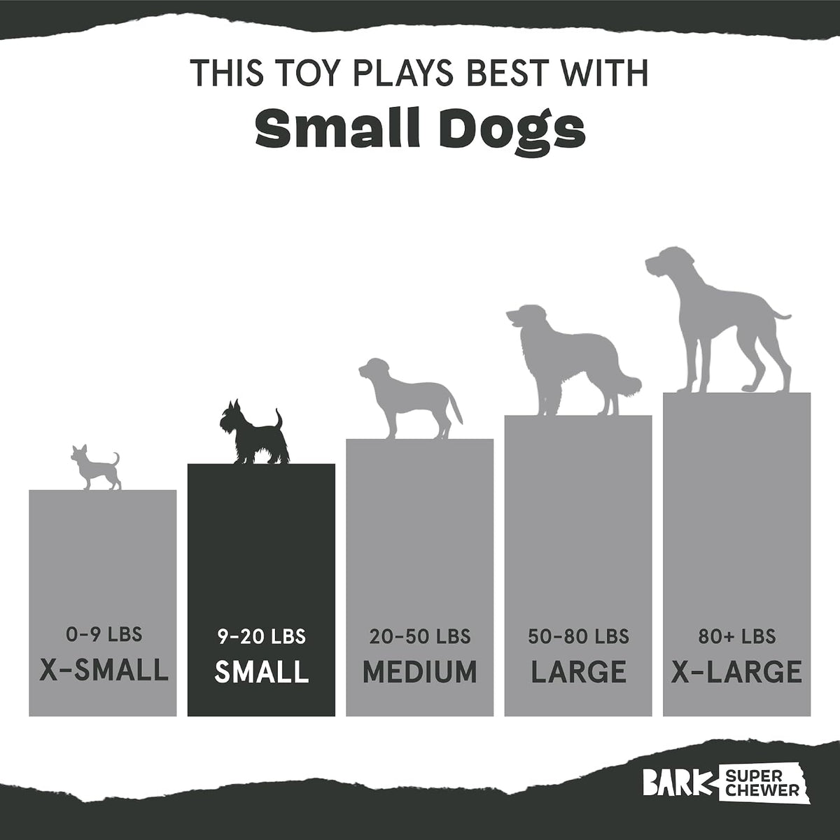 BarkBox Sven the Hedgie Rubber Dog Toy - Toy for Small Dogs | Squeaky Natural Rubber Chew Toy with Soft Spike Textures | Durable