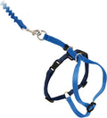 PetSafe Come with Me Kitty Harness and Bungee Cat Leash, Royal Blue, Large