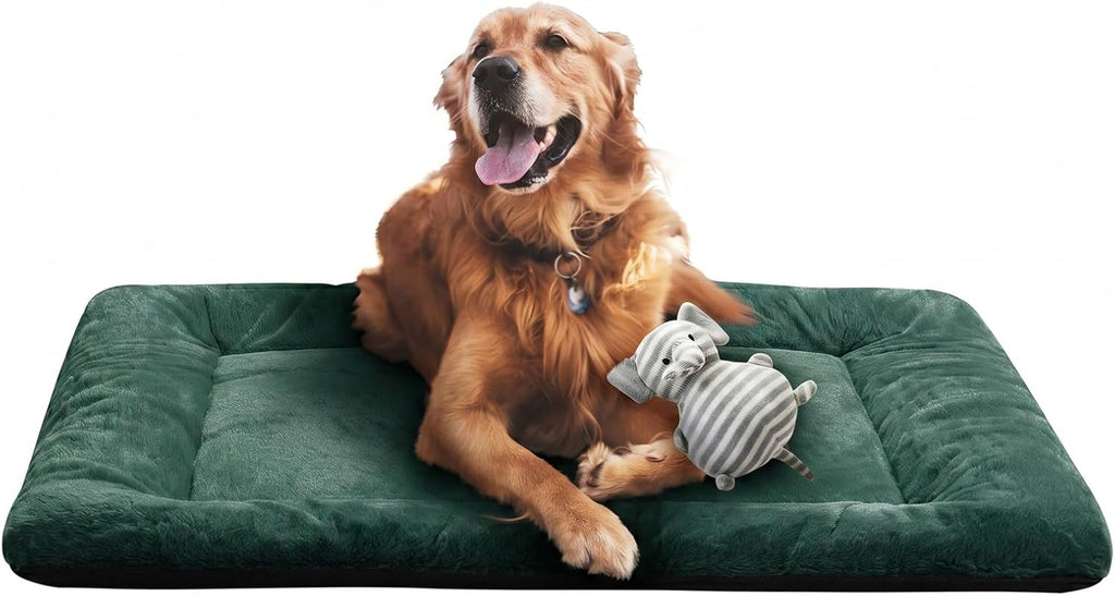 Dog Crate Pad Washable Dog Bed for Crate Large Cozy Mat 42-Inch Green