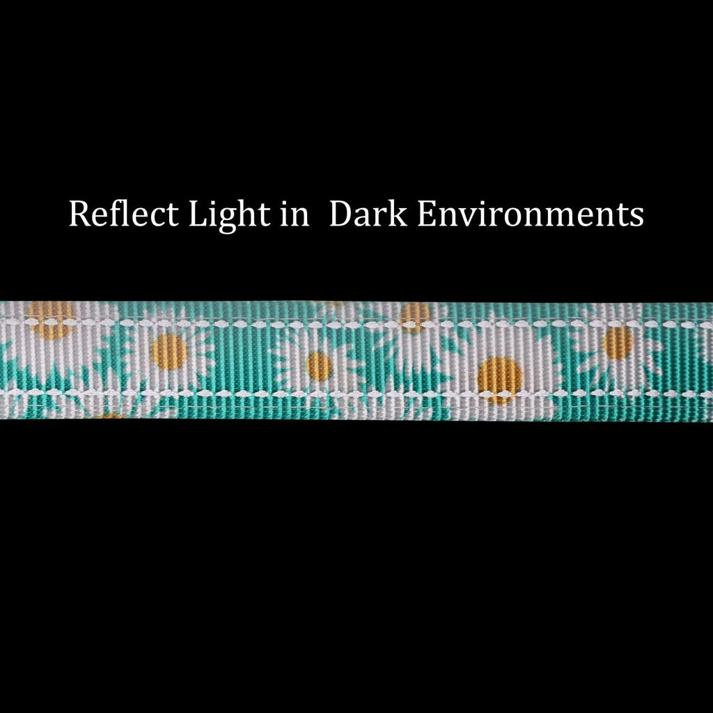Hands Free Dog Leash, No Pull Bungee Dog Running Waist Leash, with Car Seat Belt, Reflective Stripes, Heavy Duty for Medium and Large Dogs. (Daisy Green, Large)