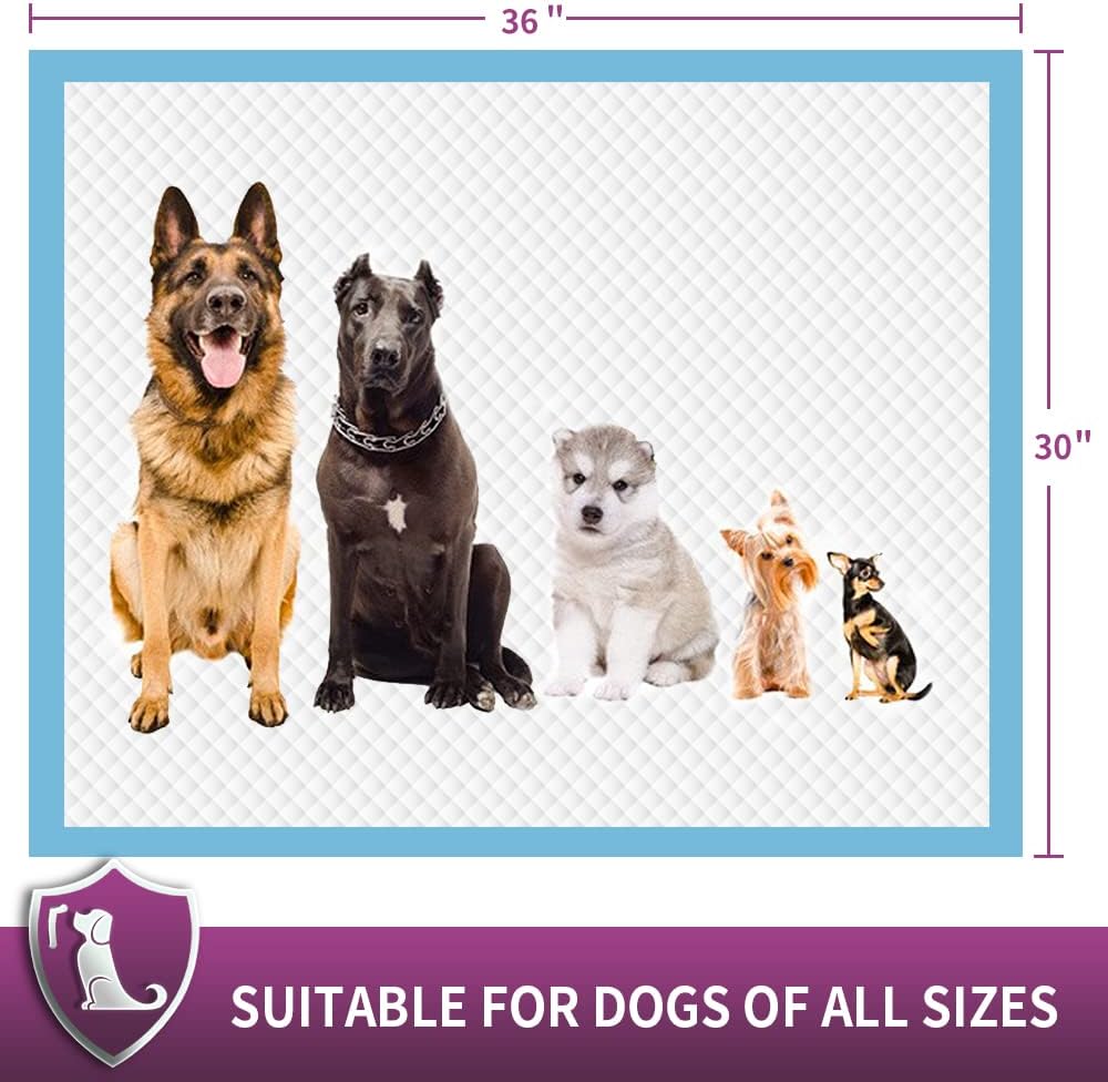IMMCUTE Dog Pee Pads Extra Large, 30" x 36", 30 Ct, Jumbo-Size Pee Pads for Dogs, Thicken Puppy Pads XL Pet Training Pads, Super Absorbent & Leak-Proof Potty Pads for Dogs