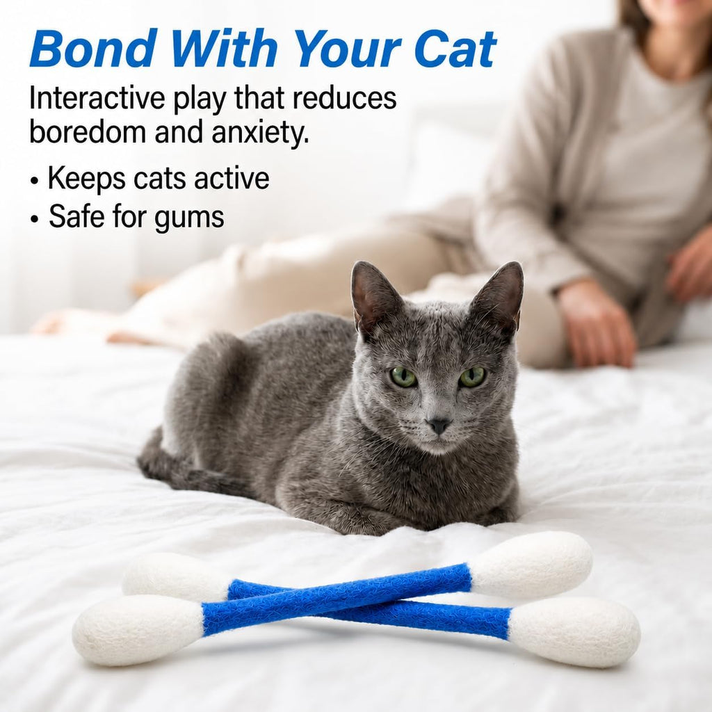 Glaciart One XXL Swabs Cat Toys with Catnip - 2 Pk | Durable for Chew, Cute Cat Toys Interactive Kitty for Boredom, Exercise, & Play | Filled w/Organic Catnip for Anxiety & as Digestive Aid