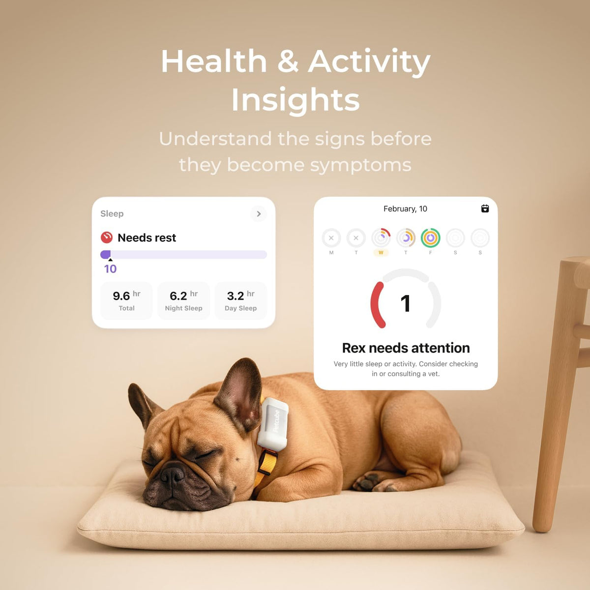 Petcube GPS Tracker for Dogs – Real-Time GPS Tracking & Escape Alerts