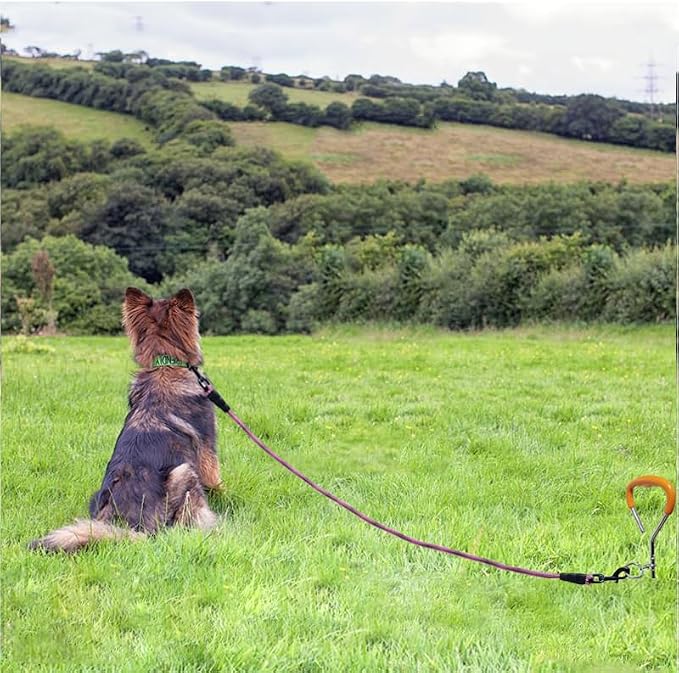 BTINESFUL 3FT 4FT 5FT Dog Tie Down, 2/5" Nylon Rope Indoor Short Dog Tether