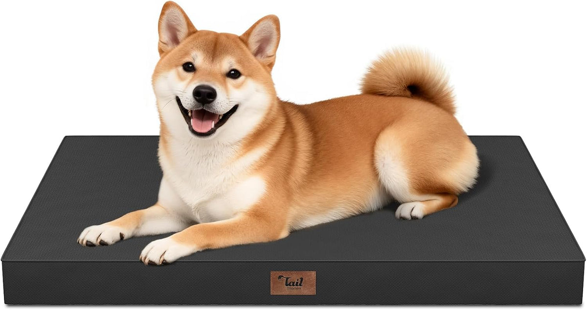Outdoor Waterproof Orthopedic Dog Bed for Medium Size Dogs