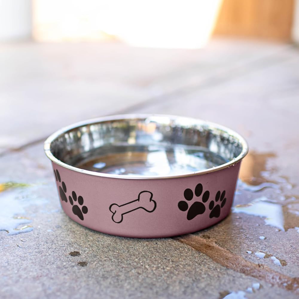 Loving Pets Bella Dog Bowls- Stainless Steel Dog & Cat Bowls - Spill Proof Dog Food Bowl, Cat Bowl, Puppy Essentials & Pet Supplies Great for Home & Travel (X-Large 65-100lbs, Grape) 