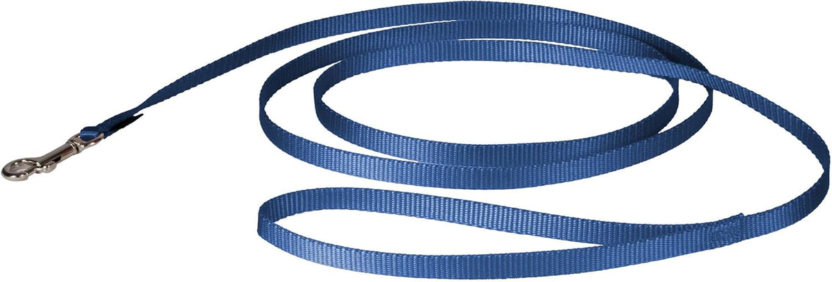 PetSafe Nylon Dog Leash - Strong, Durable, Traditional Style Leash with Easy to Use Bolt Snap - 3/8 in. x 6 ft., Royal Blue