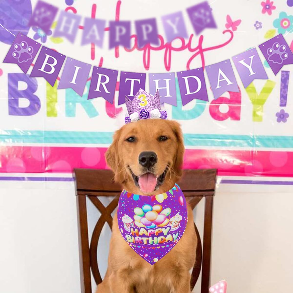 PET SHOW Dog Birthday Party Favors Decorations Purple Crown Hats with Bandana and Collar Bowties Charms Costume Set Puppy Cat Celebration Outfit with 0-9 Figures Banner & Ballons Grooming Accessories