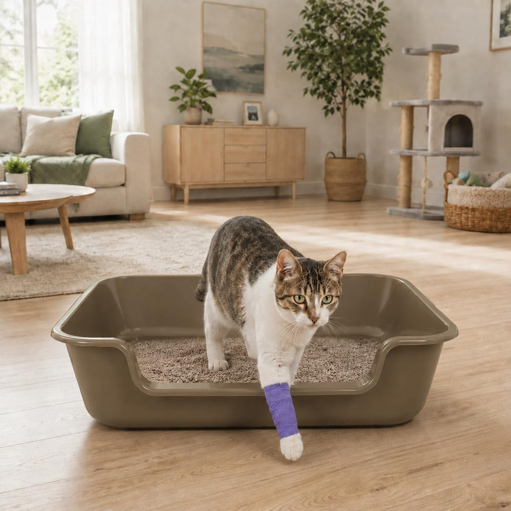 Extra Large Low Entry ABS Cat Litter Box, Brown, 24" L x 20" W, 2 Pack | Durable low entry litter box, non-stick, odor-free, ideal for seniors, kittens, rabbits, large cats and multi-pet homes.