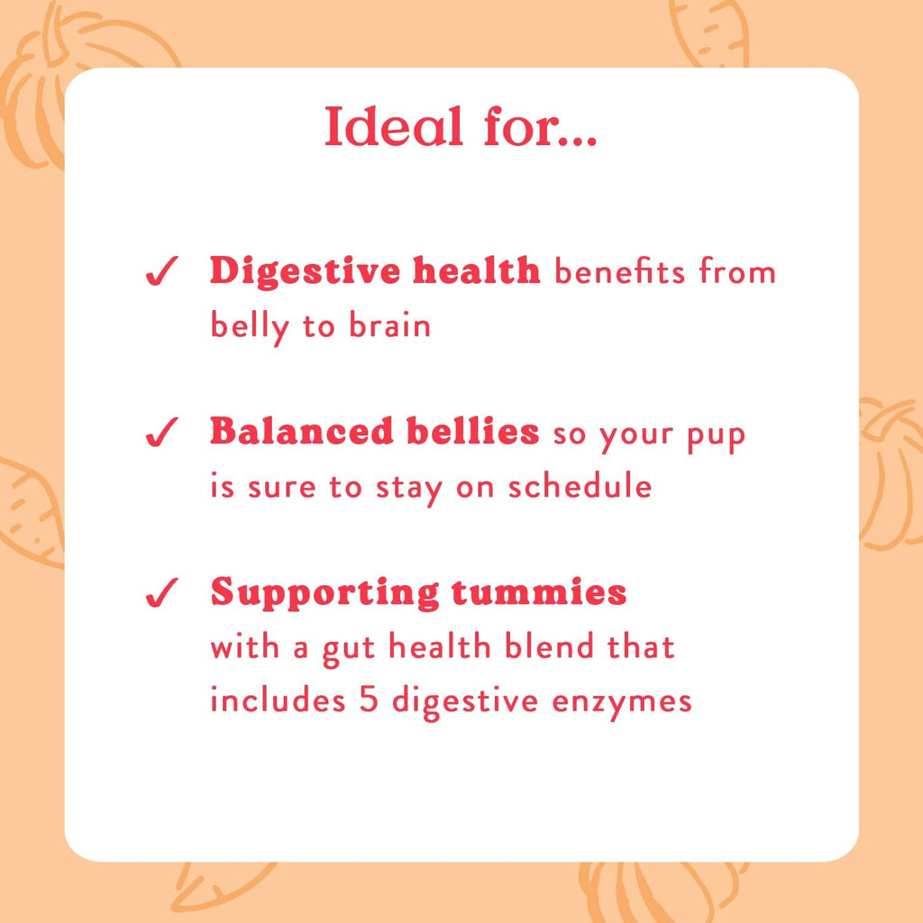Bocce's Bakery Probiotic Supplement Chews, Pumpkin & Sweet Potato (60 ct)
