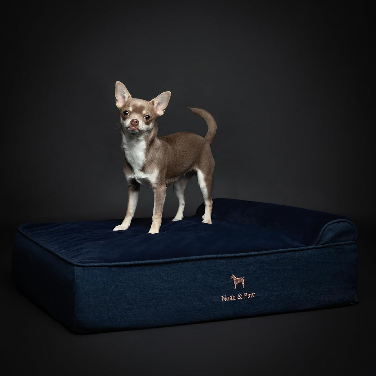 NOAH & PAW Medium Dog Bed Orthopedic Memory Foam Cooling Gel 28x23x7.5 in