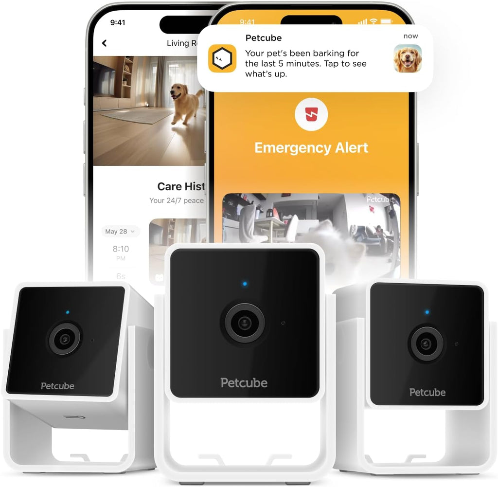 Petcube Cam (3-Pack) – Indoor Wi-Fi Home Security Camera with App