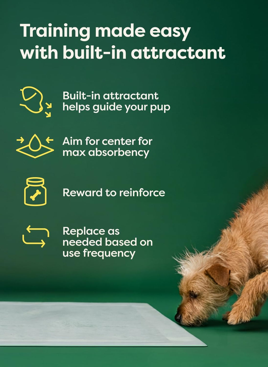 Earth Rated 40 Puppy Pads, Max Absorbency Pee Pads for Dogs, XL | Max Absorbency,Absorbs 2X Faster & 2X More, Leak Prevention, Potty Training, Fragrance-Free, Unscented