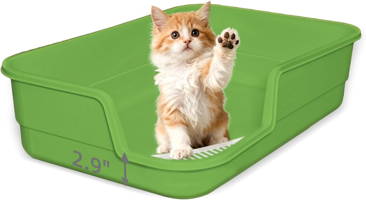 Extra Large Litter Box with Low Entry,Jumbo Cat Litter Box for Kitty and Senior Cats,Cat Box for Indoor Cats,Open Top Corner Litter Pan,Easy to Clean,23.6" L x 15.7" W x 5.9" H (Green)