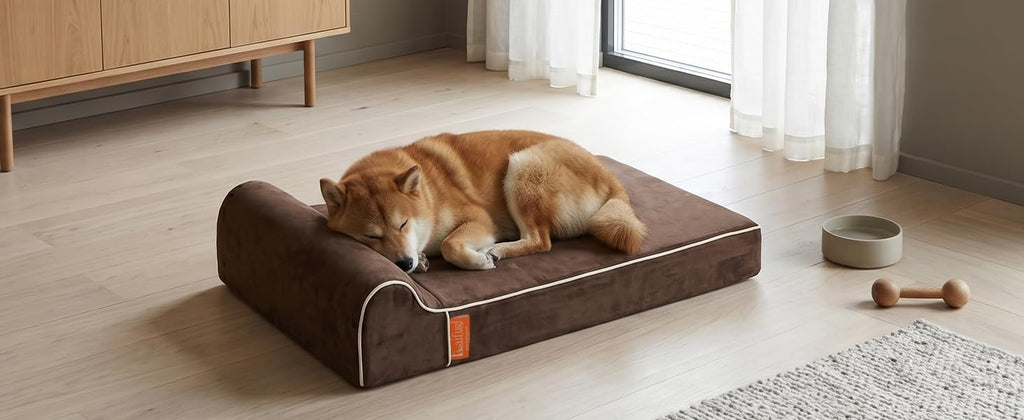 Laifug Orthopedic Dog Bed, Chocolate 34''x22''x5.5'', Memory Foam