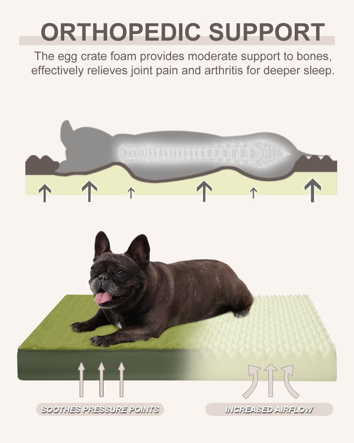 KSIIA Orthopedic Dog Bed for Medium Dogs with Waterproof Lining,Green,29x18