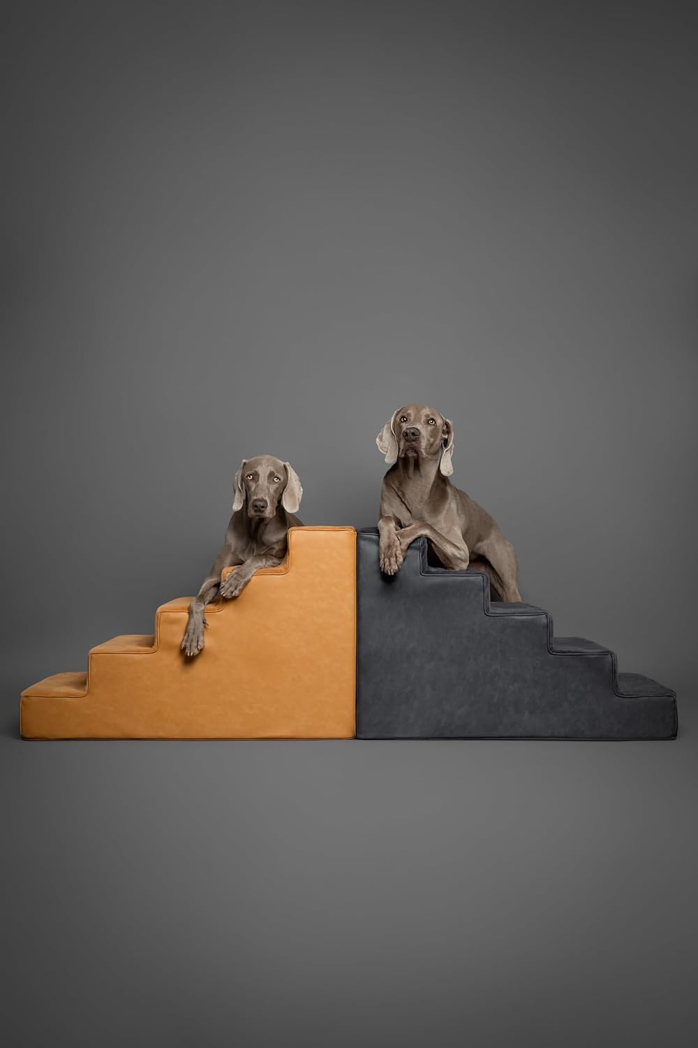 Noah & Paw Dog Stairs for Large Dogs, Up to 150lb, Wide Dog Ramp for Bed