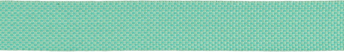 Ruffwear, Flagline Dog Leash, Lightweight 6.5 ft Lead, Sage Green