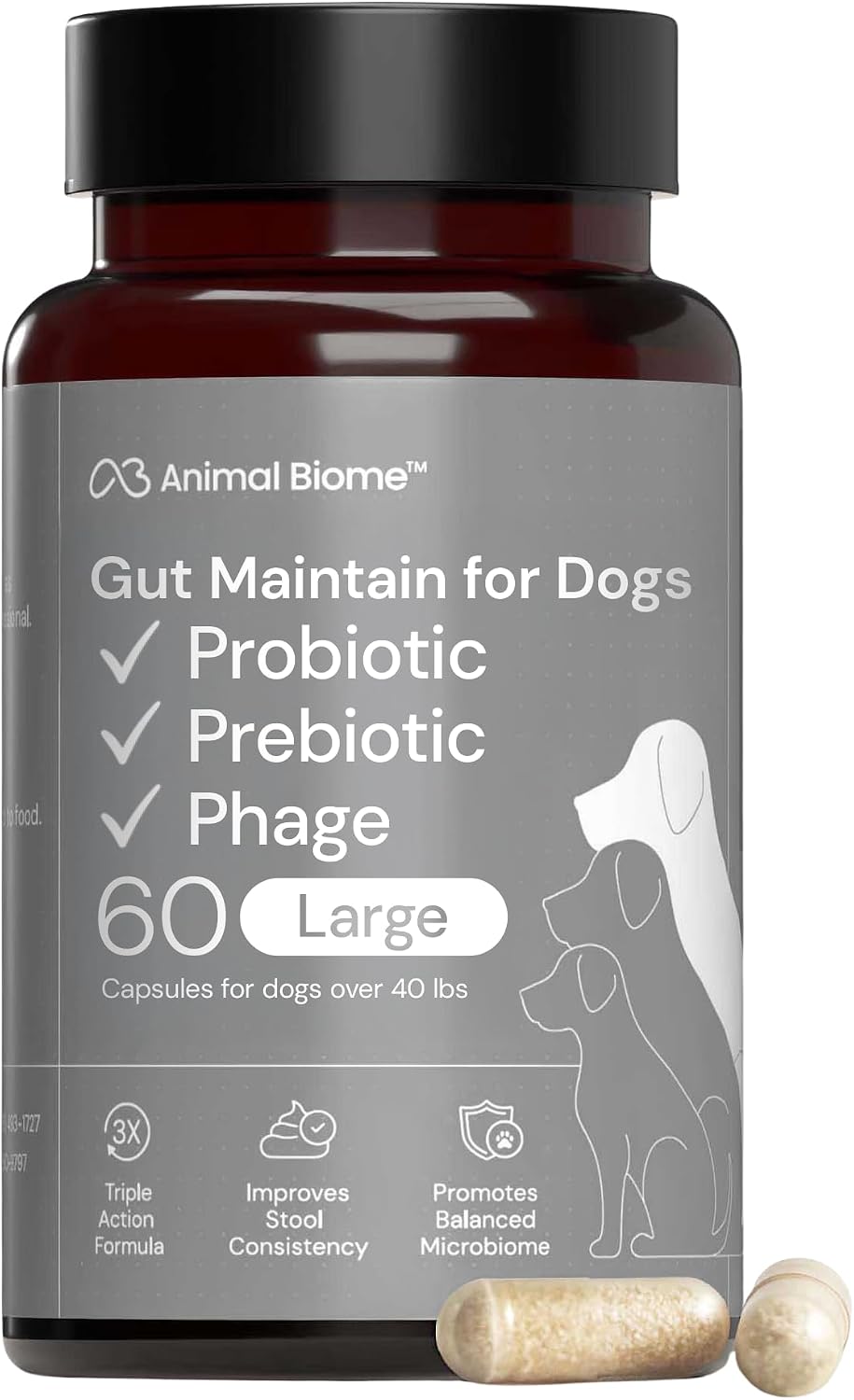 Animal Biome Large Dog Pre and Probiotics, S Boulardii, Gut Maintain, 60 Ct
