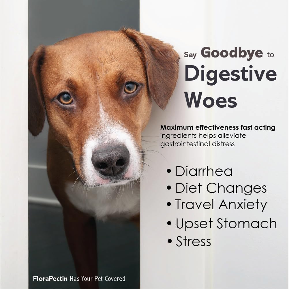 Oral Paste for Dogs & Cats (2 Pack, 15 CC - Tasty Chicken)