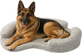 XXL Orthopedic Memory Foam Dog Bed, Large, Beige
