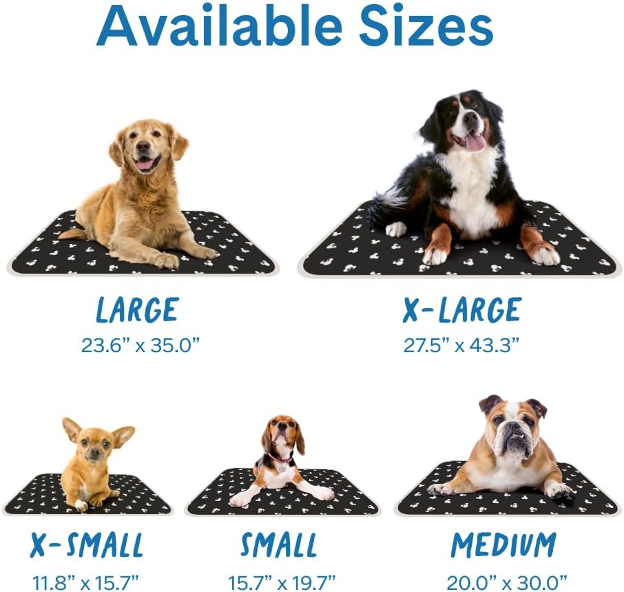 The Green Pet Shop Cool Pet Pad - Large, Disney’s Mickey & Minnie Mouse - Self-Cooling, Pressure Activated Mat for Dogs & Cats from 46-80 lbs - Non-Toxic Gel, No Water Needed