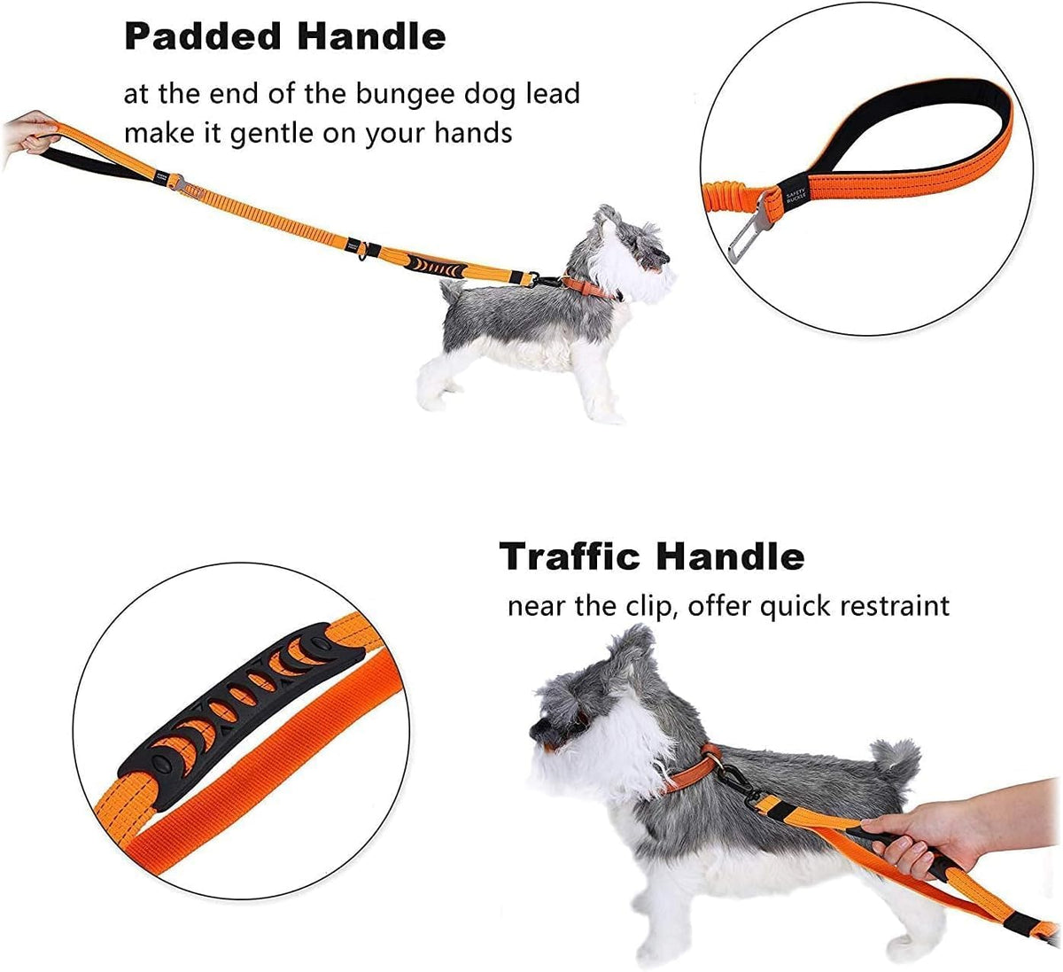 Heavy Duty Bungee Dog Leash with Locking Carabiner for Large Dogs