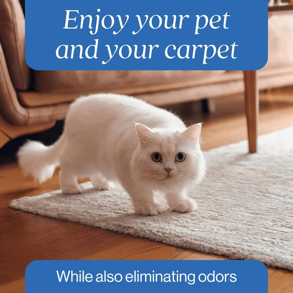 Oxy Pet Carpet Cleaner Spray | Pet Stain Remover for Pet Urine, Cat Pee, Dog Poop | Deep Spot Treating Action on Carpeting, Upholstery, Laundry, Pet Beds & More (160 Fl Oz)