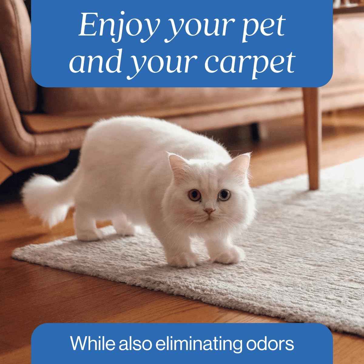 Oxy Pet Carpet Cleaner Spray | Pet Stain Remover for Pet Urine, Cat Pee, Dog Poop | Deep Spot Treating Action on Carpeting, Upholstery, Laundry, Pet Beds & More (160 Fl Oz)