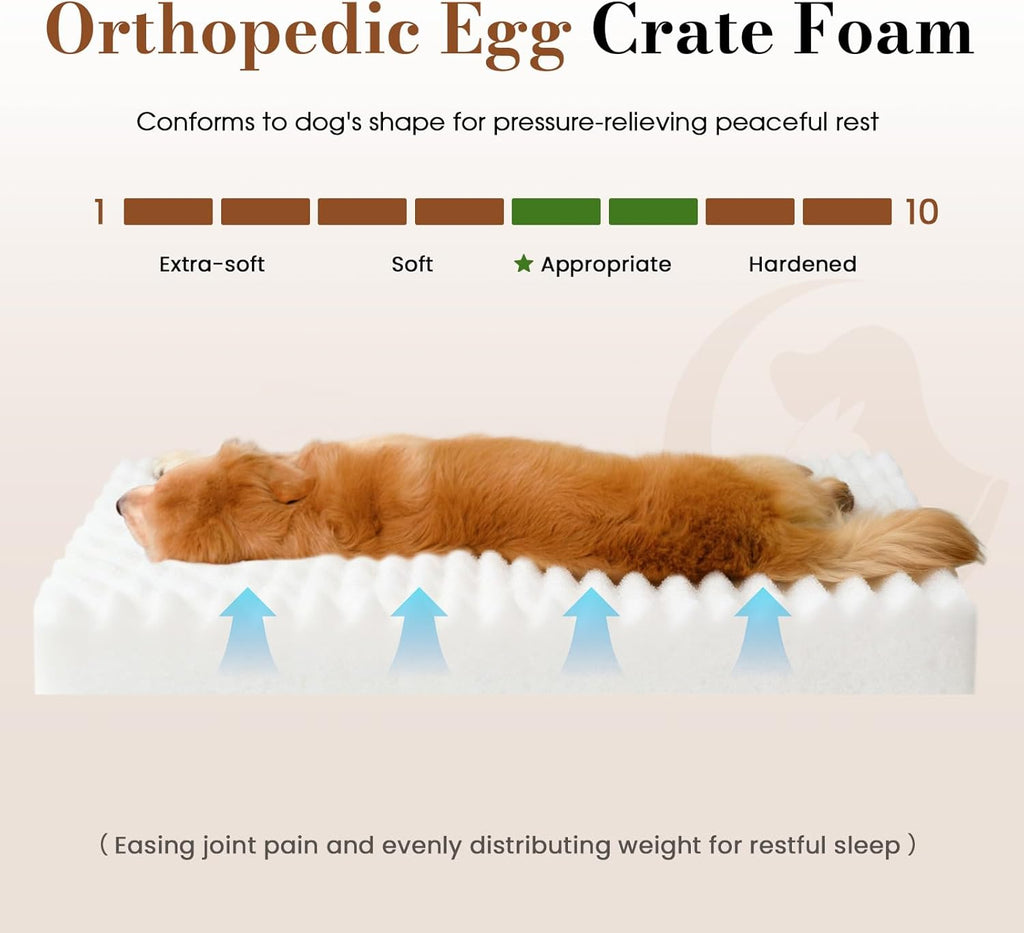 Extra Large Dog Bed Orthopedic Foam with Waterproof Lining