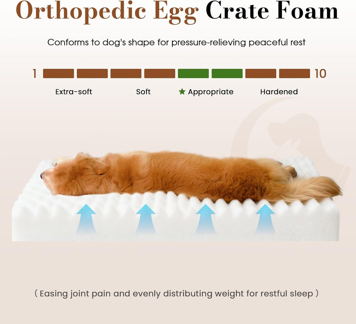 Dog Beds for Large Sized Dog, Orthopedic Foam with Waterproof Lining
