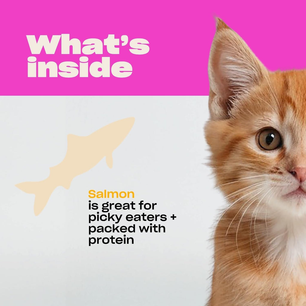 Oh Norman! Salmon Freeze Dried Treats for Cats - Crunchy & High Protein