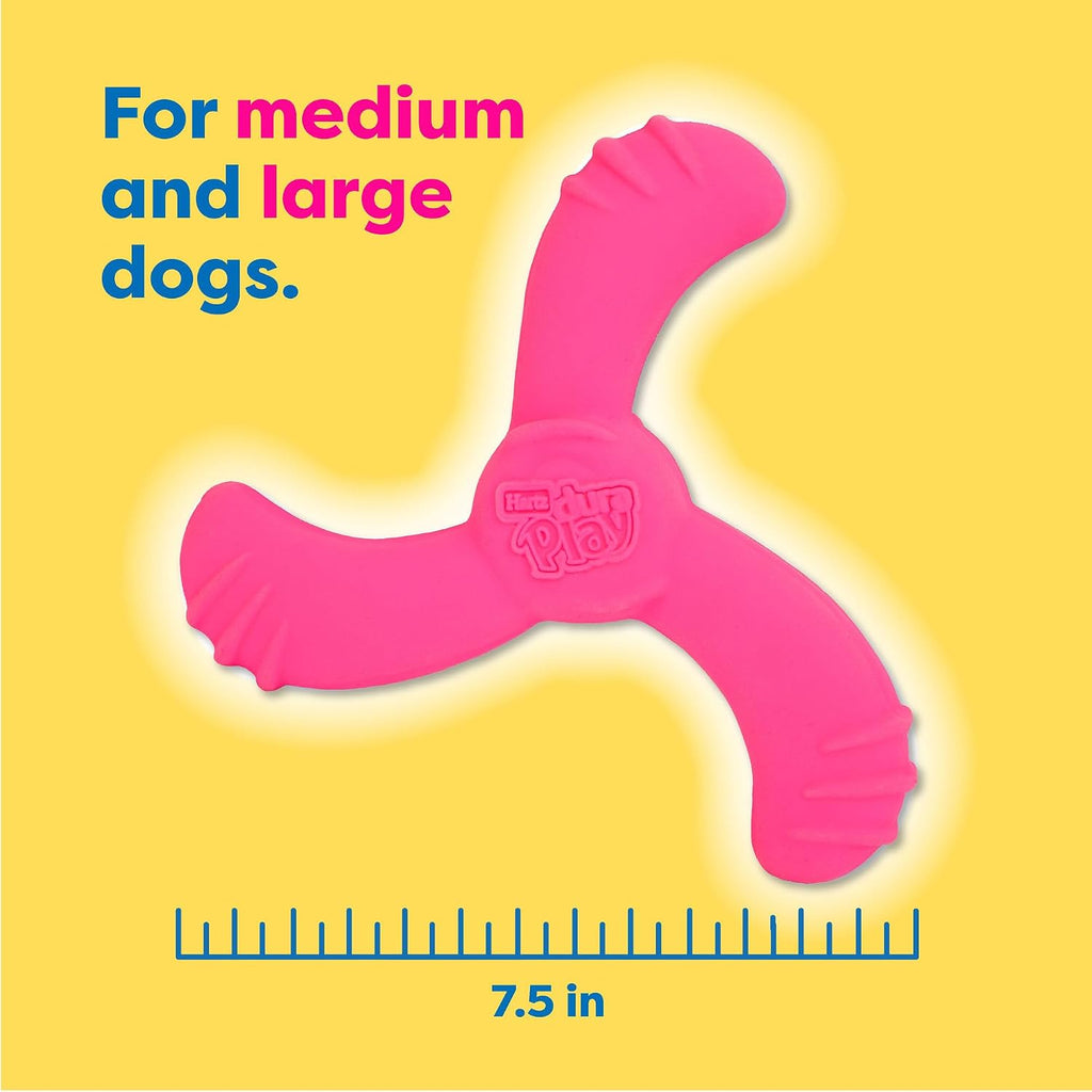 Hartz DuraPlay Bacon Scented Dog Toys, Medium/Large ( Colors may vary ) All Breed Sizes