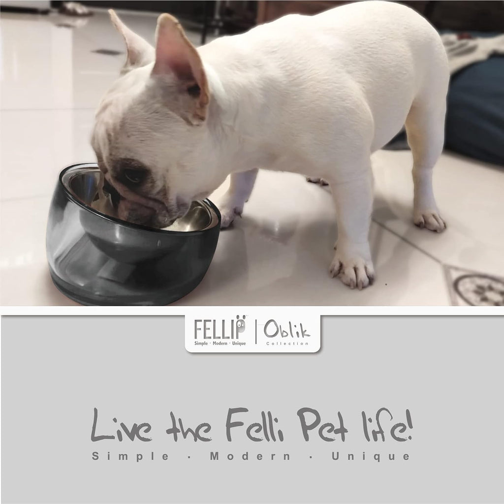 Felli Pet Oblik Acrylic Raised Dog Food Water Bowl Stainless Steel Slanted Oval Dish for Short Leg Puppy & Small Medium Pet, Elevated Tilted Metal Feeder (Smoky, 1.5 Cups Oval Dish) 